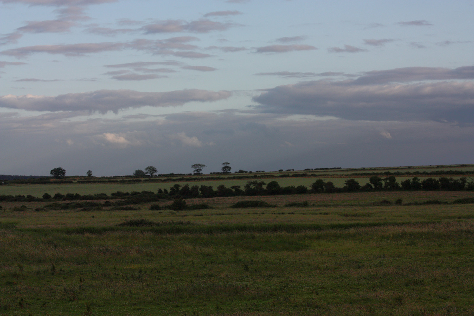 IMG_3318_selfHDR - Burnham Horizon