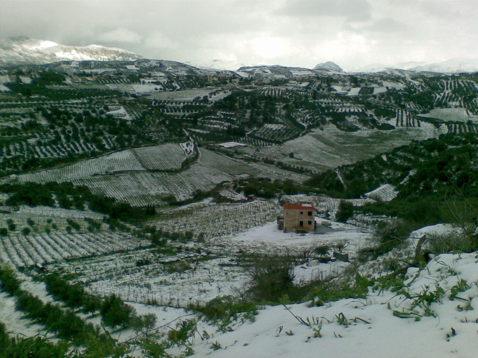 20080218(003)