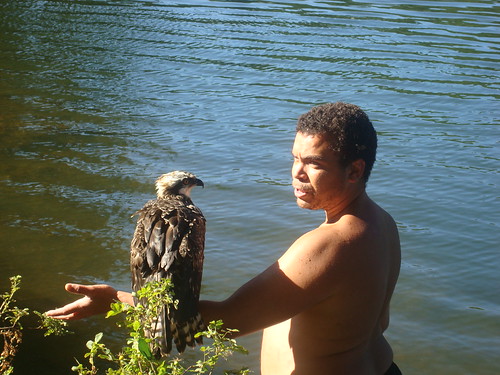 rescued_bird4