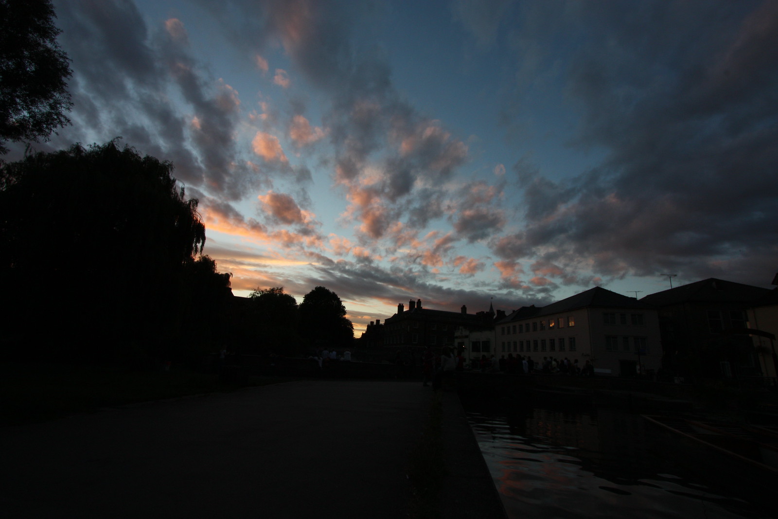 IMG_3564