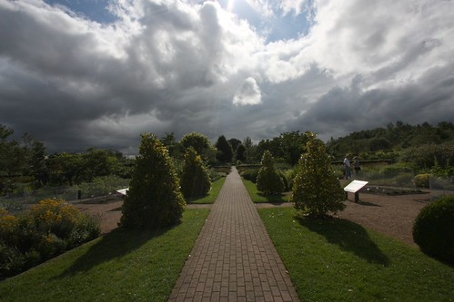 IMG_3590-gamma - Ryton Vista