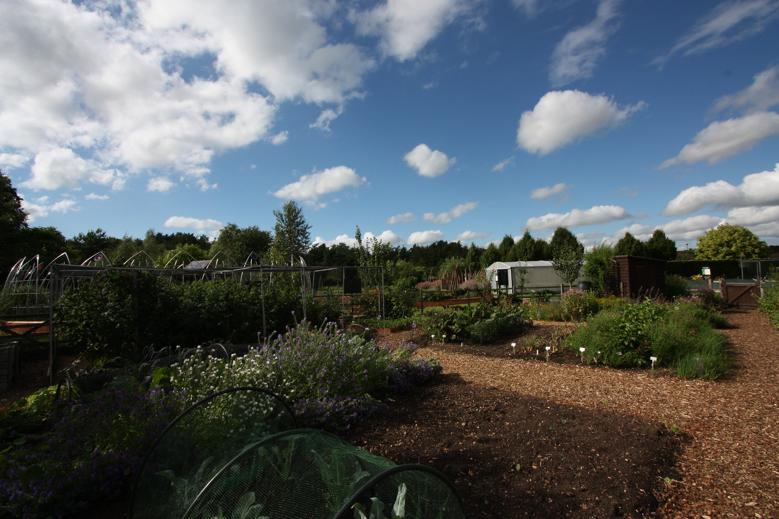 IMG_3601 - Ryton Beds