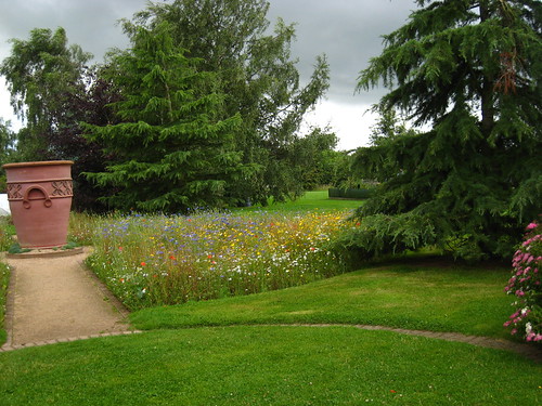 IMG_1944 - Ryton pot
