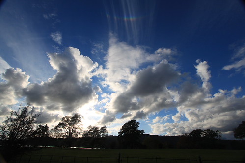 IMG_5194 - Raybow