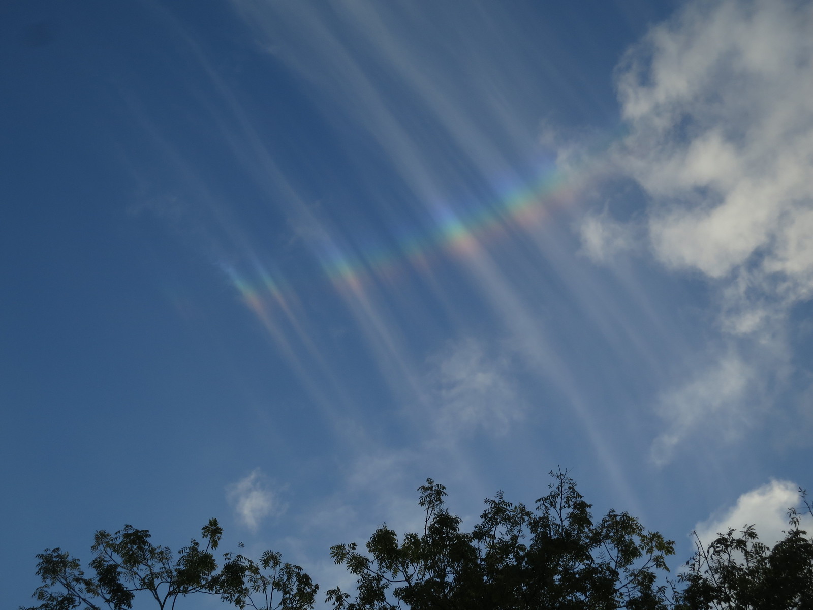IMG_3741 - Raybow II