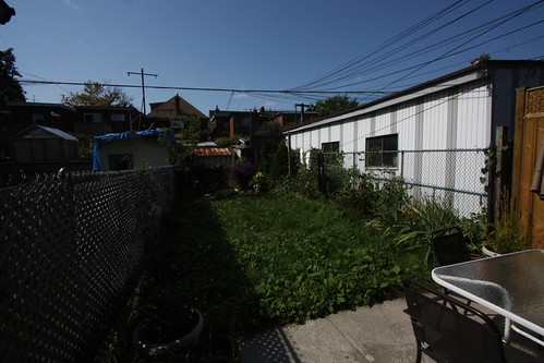 IMG_4174 - Colinists Garden