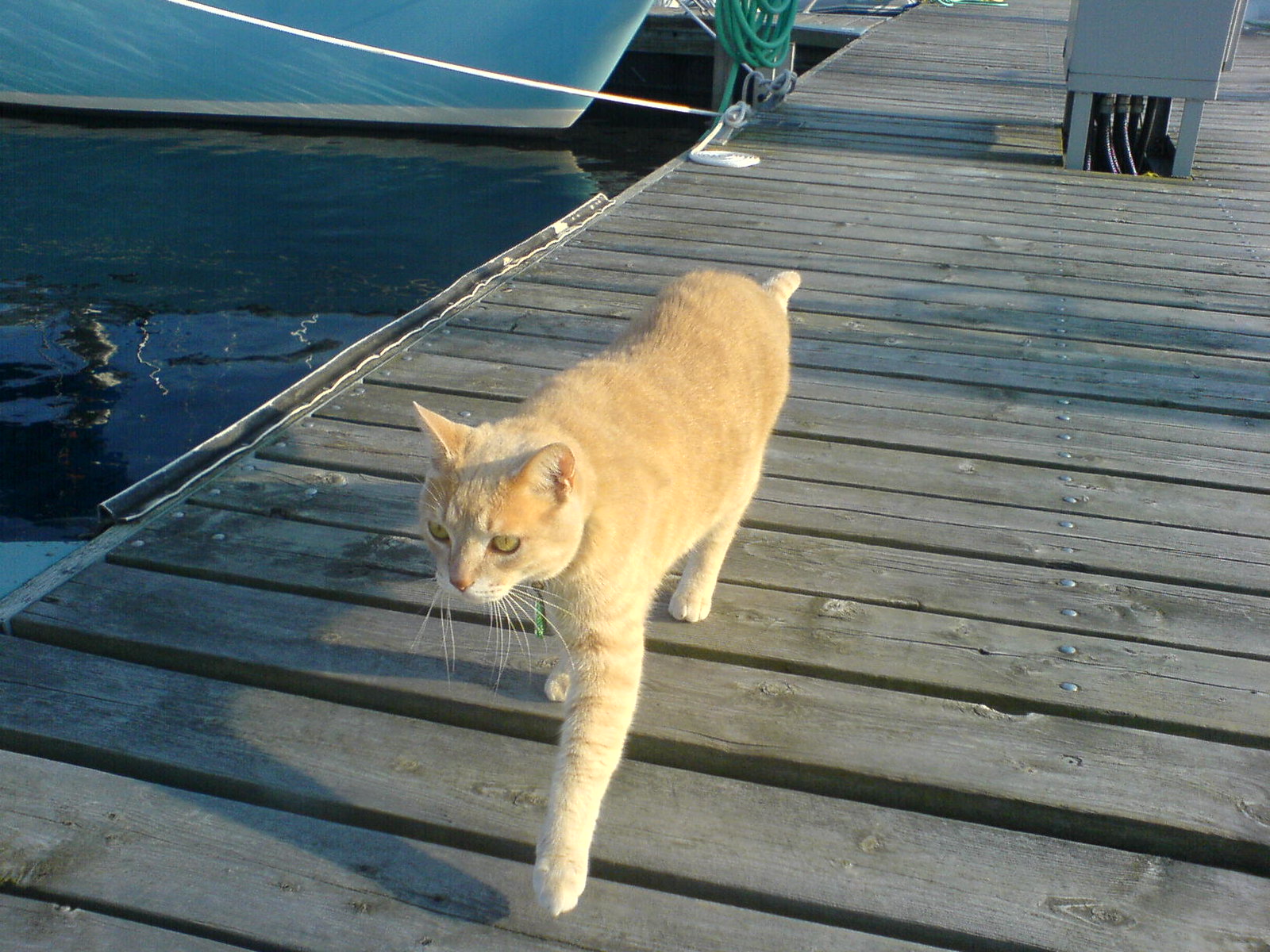 DSC00368 - Ship's CATT