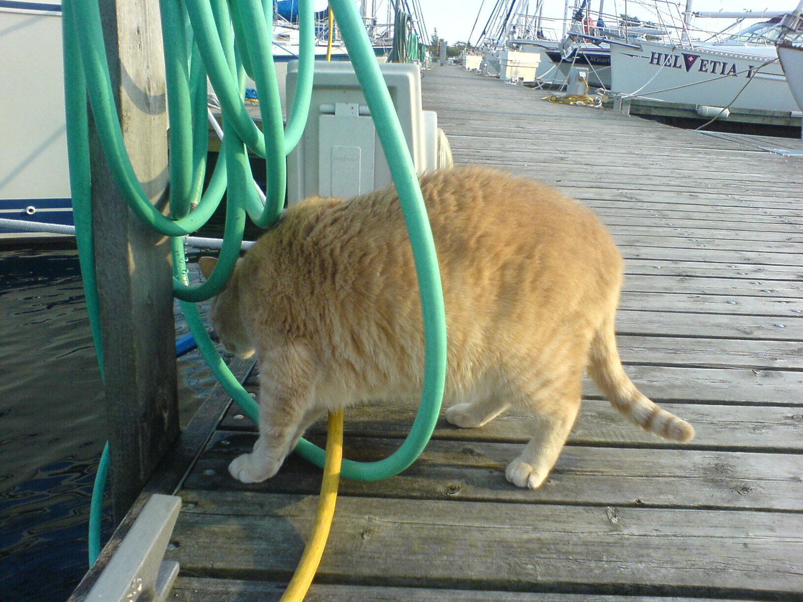 DSC00369 - CATT Drink