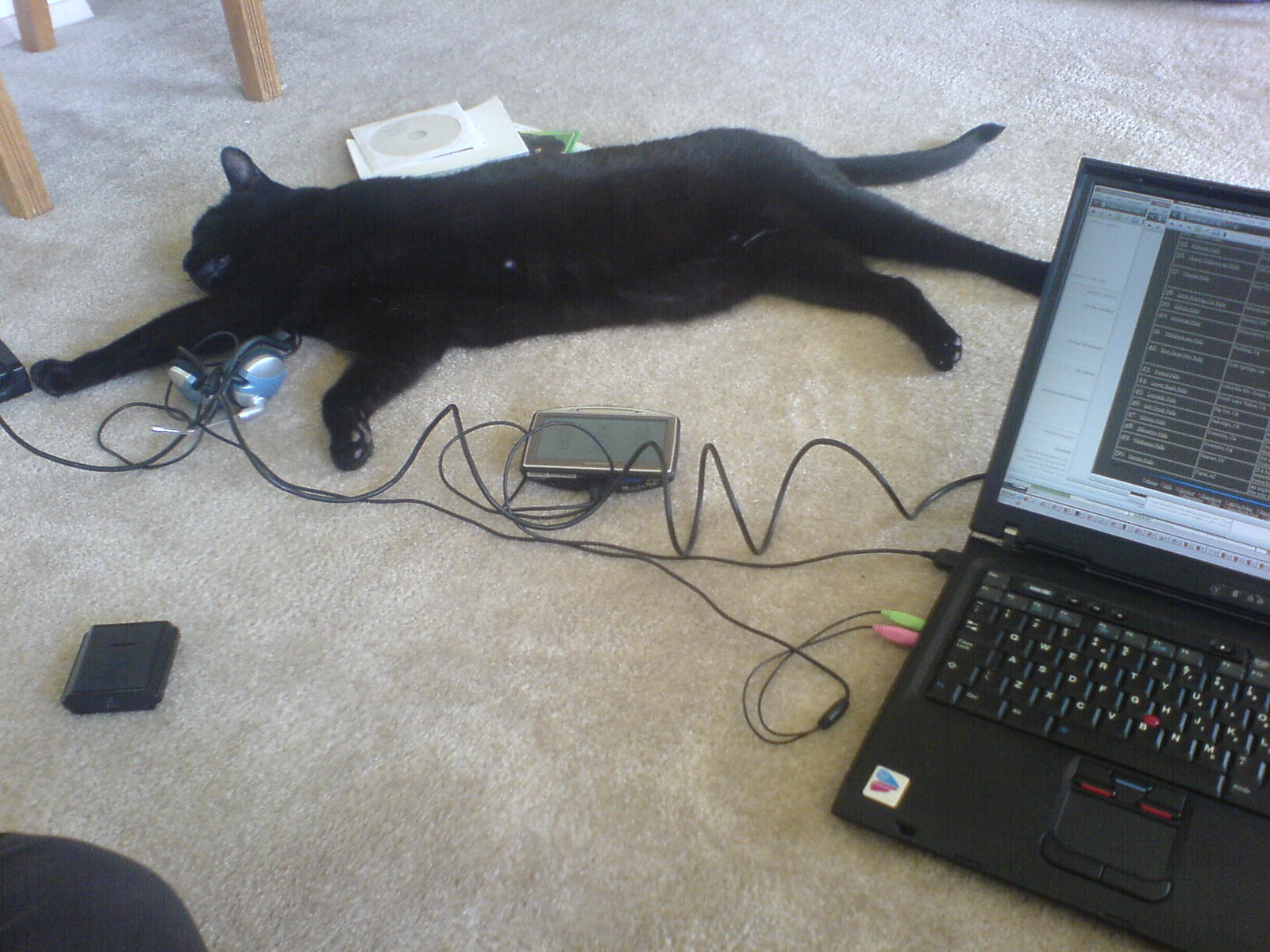 DSC00390 - ThinkCAT