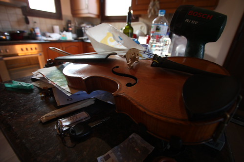 IMG_4419 - Violinic Perspective