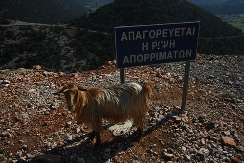 IMG_4306 - Beware of Signs telling you to Beware of Goats