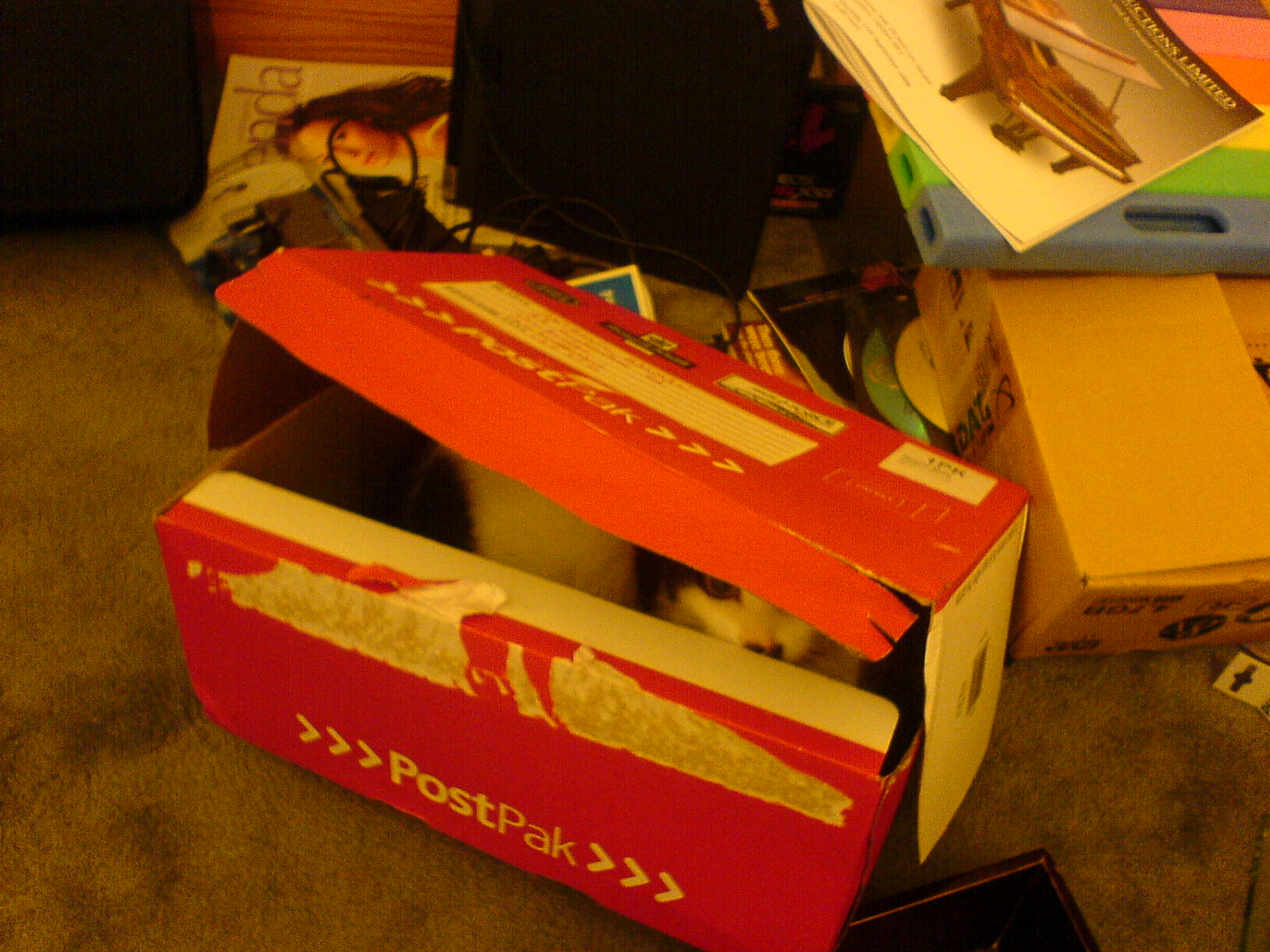 DSC00338 - CATT HATKINS BOX