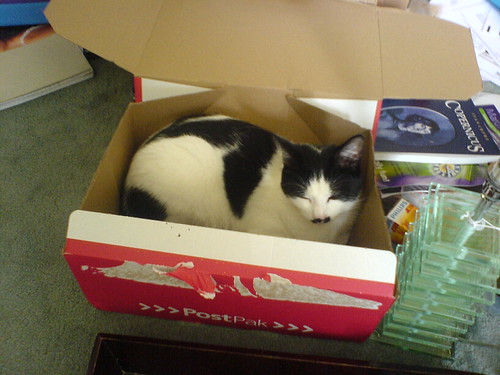 DSC00349 - CATT HATKINS DAY