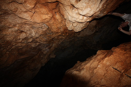 IMG_4361 - Scotino Interior