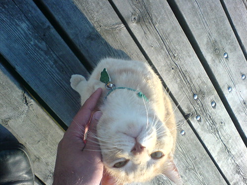 DSC00364 - Ship's CATT Tickle
