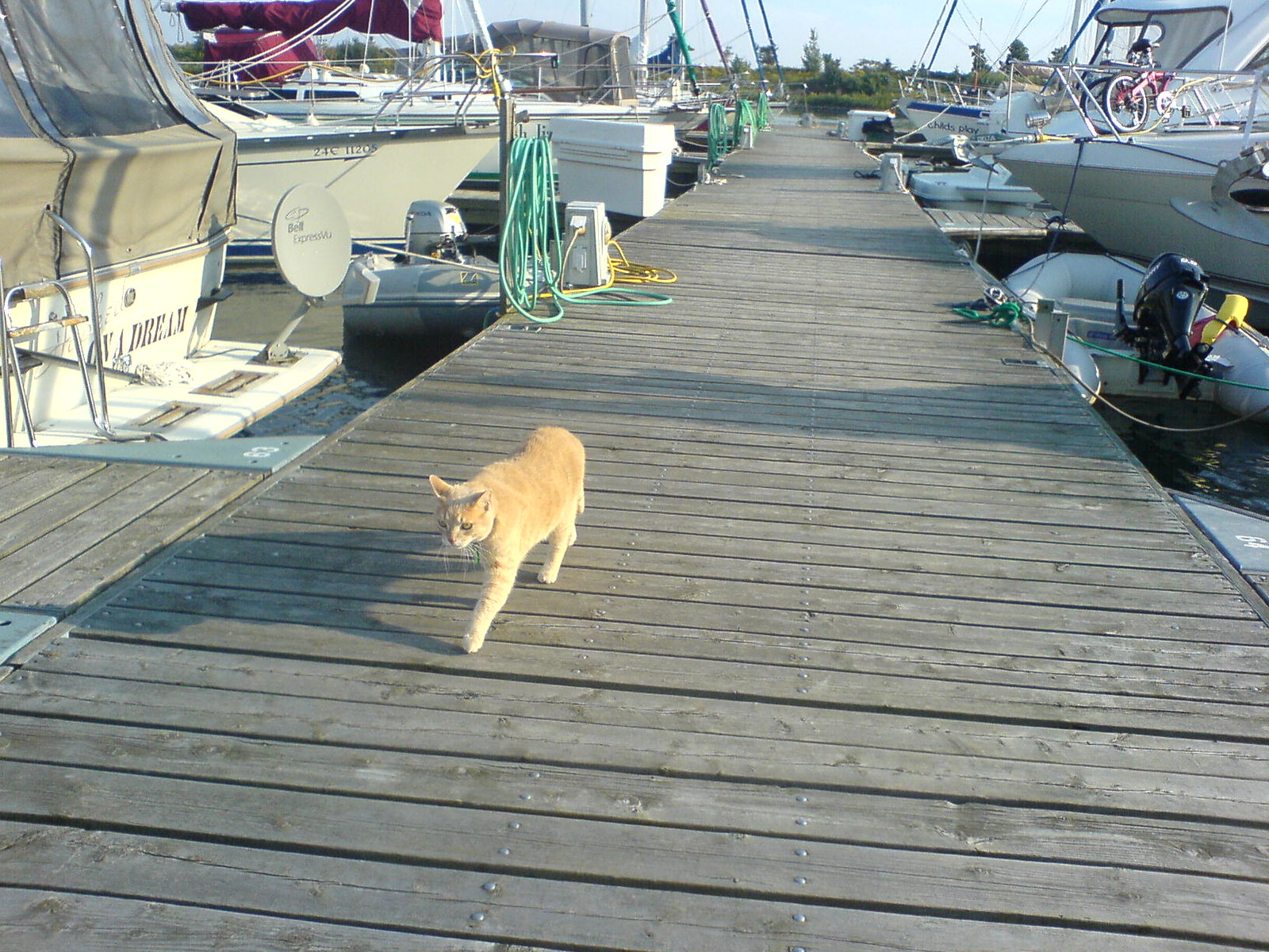 DSC00367 - Ship's CATT and Wharf