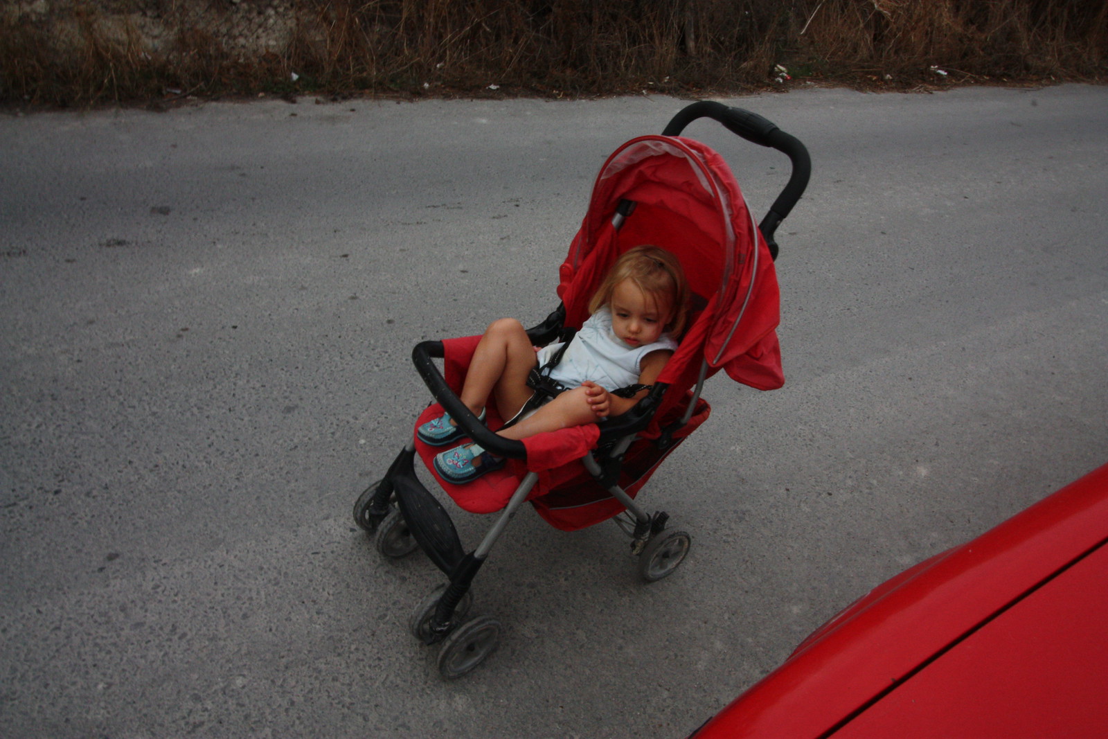 IMG_4401 - Serena is Parked