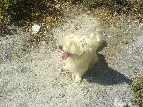 DSC00406 - ZAWZAW