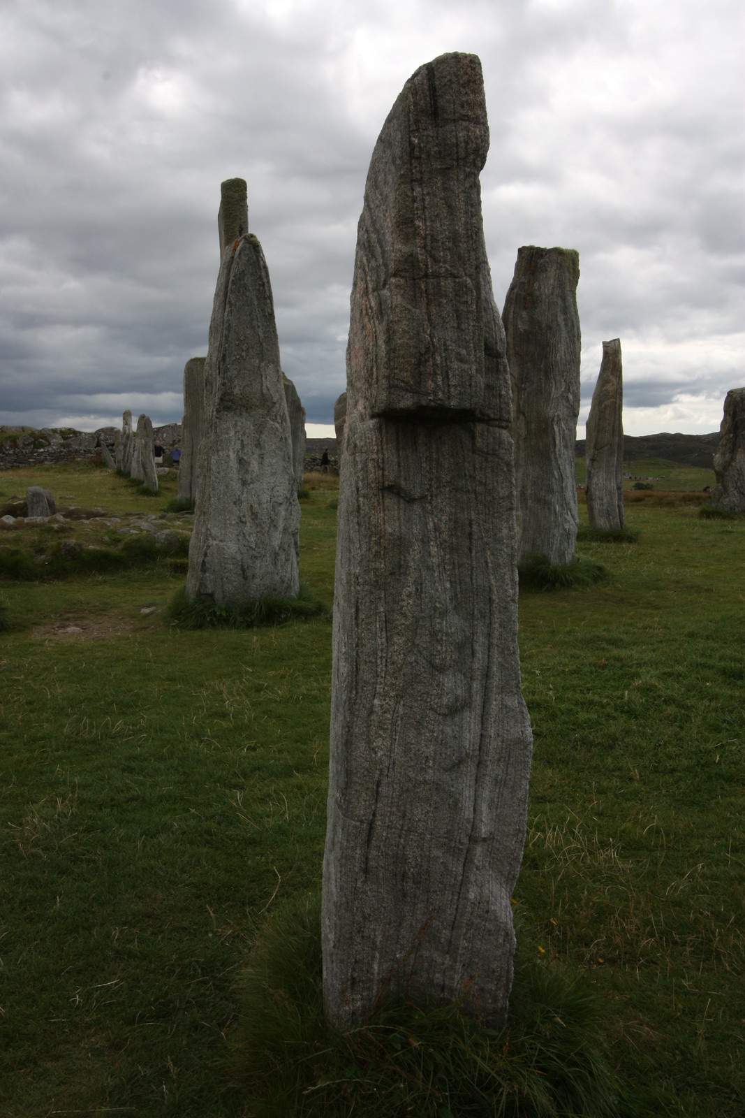 IMG_3898 - Callanish Standing