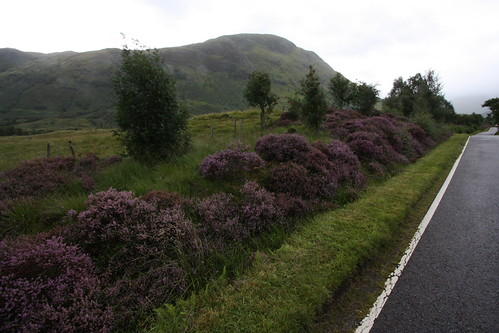 IMG_4058 - Rolling Road to Ben Nevis