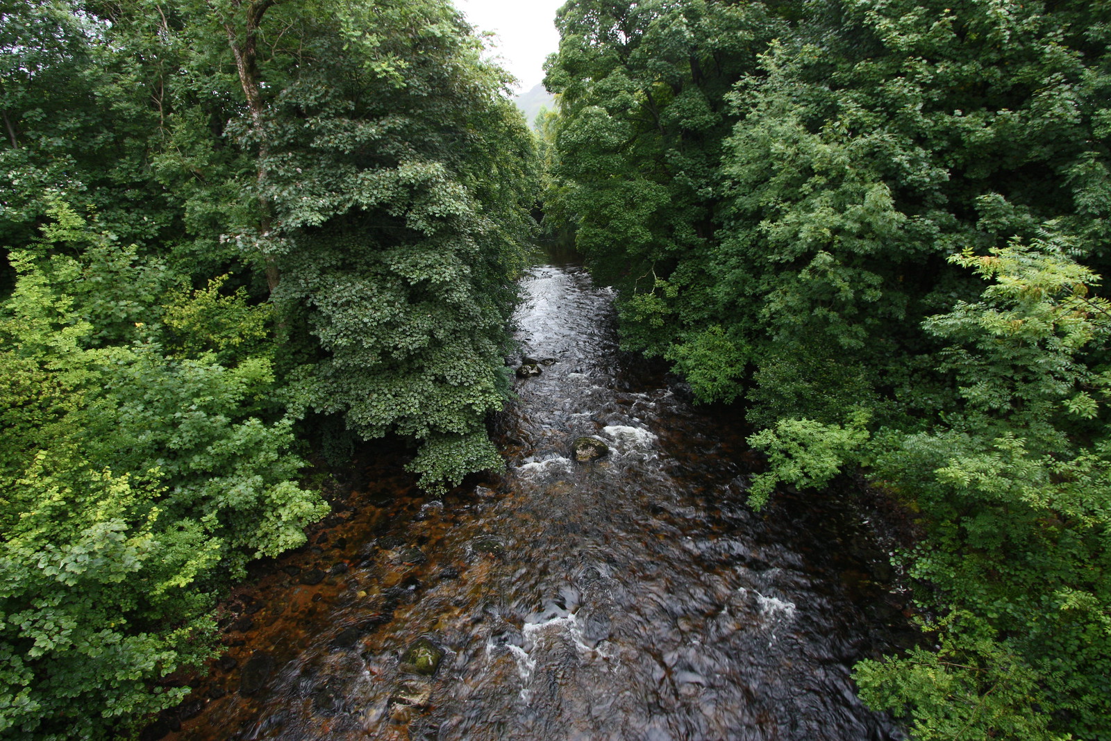 IMG_4055 - Bridge view on Oles Walk