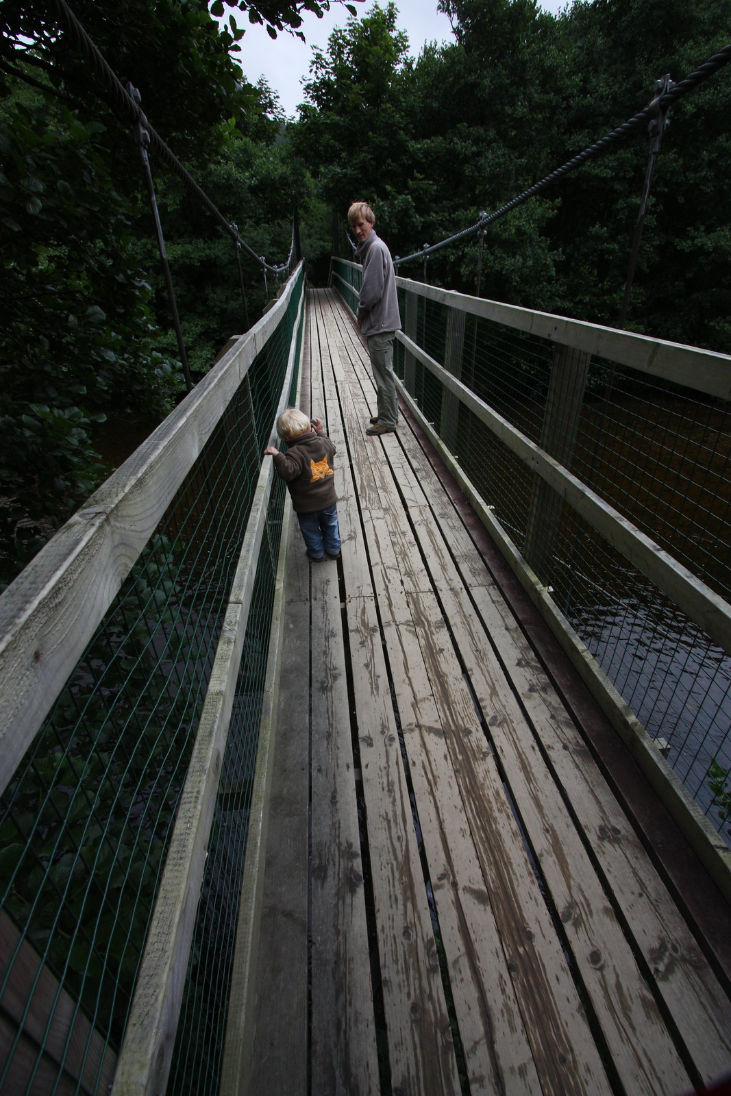 IMG_4070 - Arved Wobbly Bridge