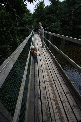 IMG_4070 - Arved Wobbly Bridge
