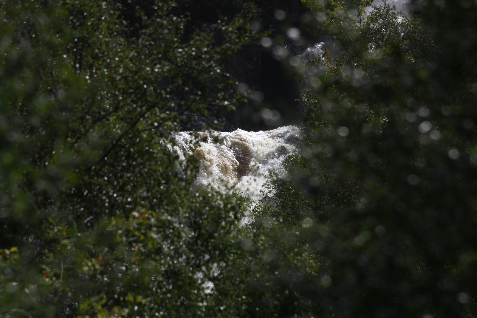 IMG_4099 - Far Waterfall