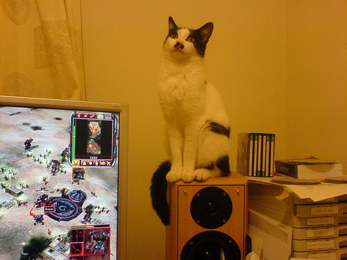 DSC00337 - CATT C&C