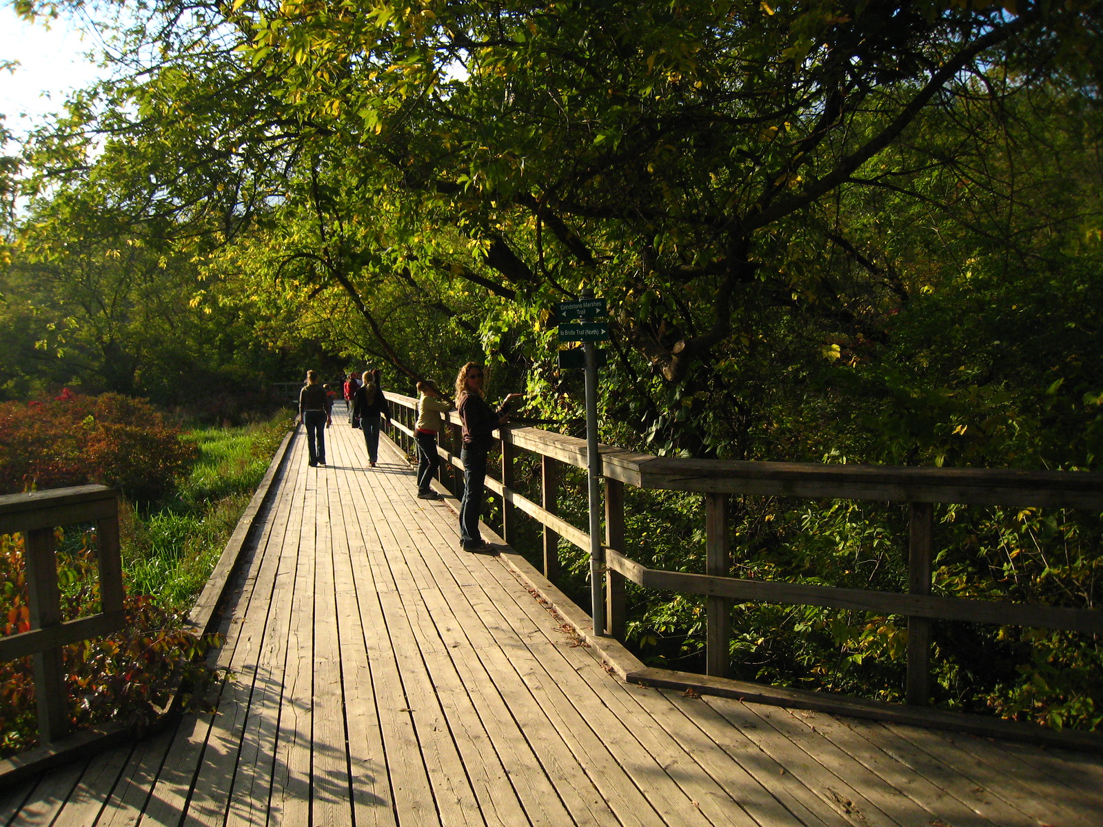 IMG_0042 - RBG Walkway Inhabited