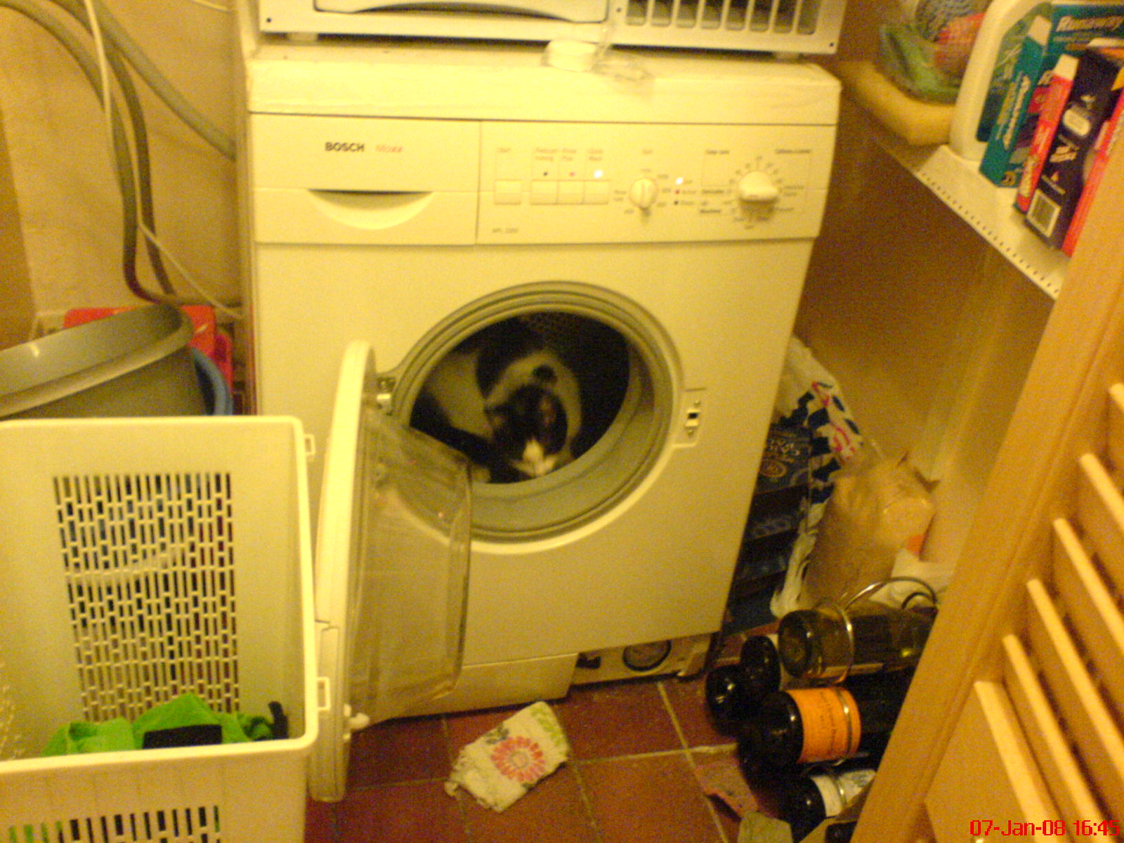 DSC00230 - CATTINWASH