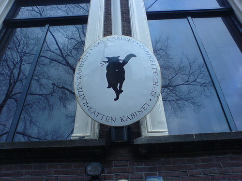DSC00485 - HET CATT