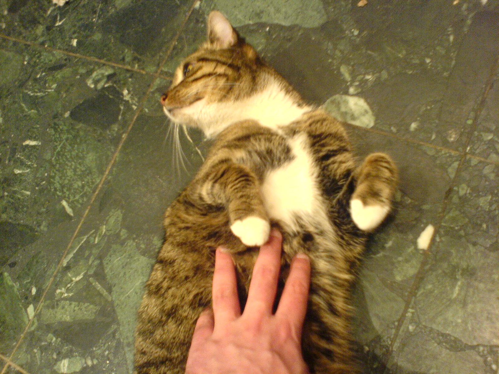 DSC00490 - Cafe CATT