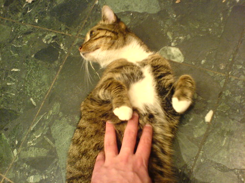 DSC00490 - Cafe CATT