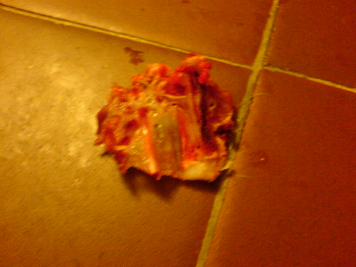 DSC00510 - Chicken Remnants