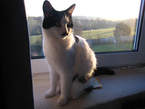 IMG_0162_gamma - CATT SUNSET I
