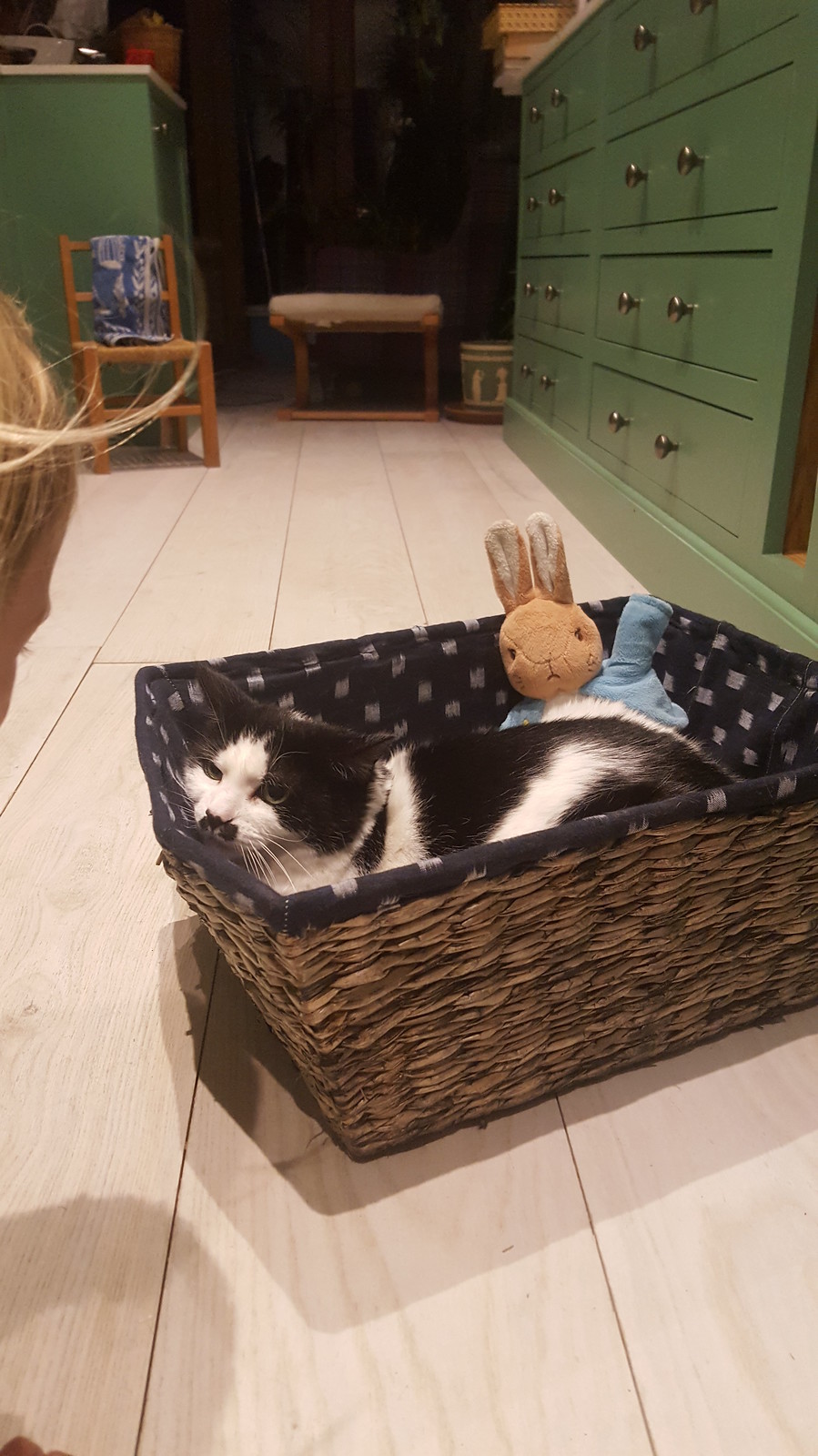 20181208_210129 - CATTOOBOCKES!