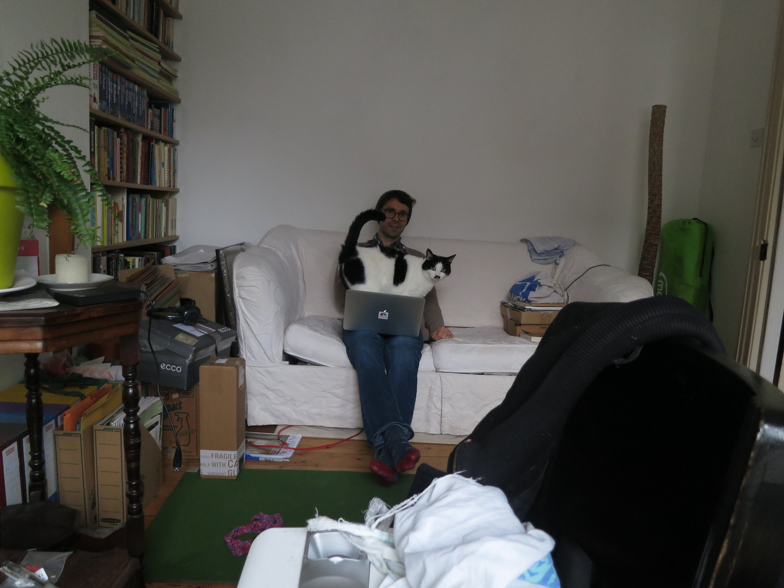 IMG_3882 - CATTWORK!