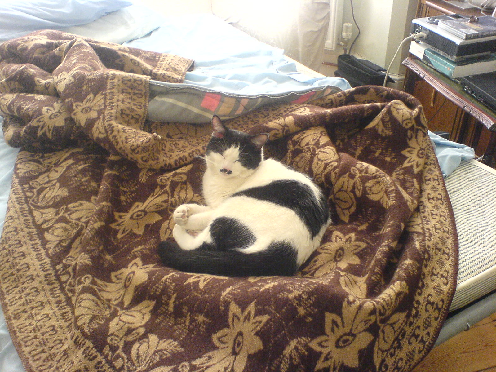 DSC00524 - CATTINBLANKETT