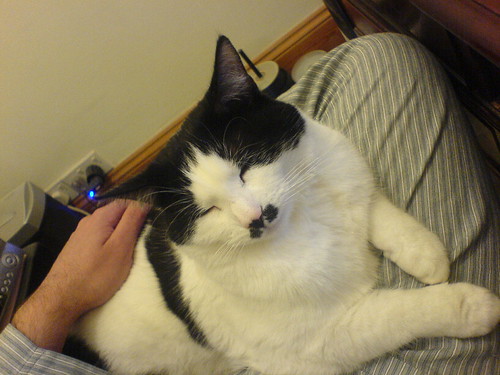 DSC00536 - CATT Pyjamas