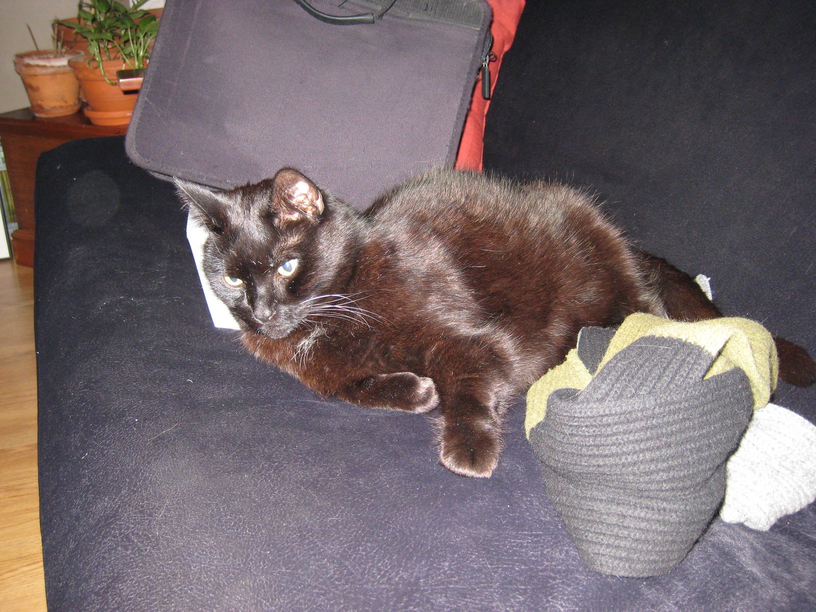 IMG_0230 - Further CATT