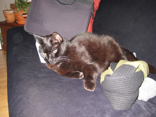 IMG_0230 - Further CATT