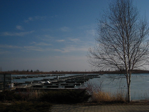 IMG_0240 - Tree and Wharf