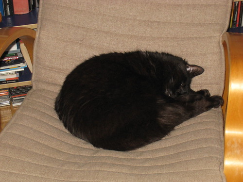 IMG_0254 - CATT