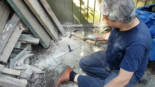 20170828_133858 - ZING ZING ZINGGG!