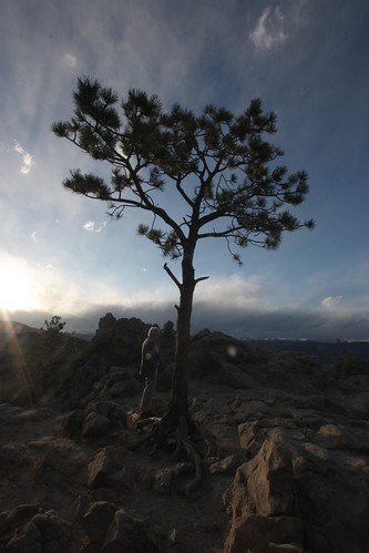 IMG_4630-gamma - Clayton Accosts Tree