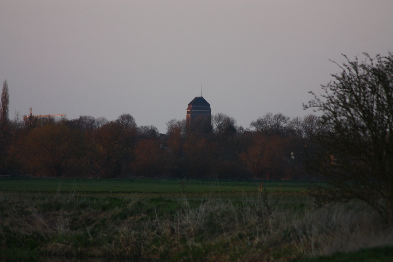 IMG_4665 - THE TOWER of LERNING
