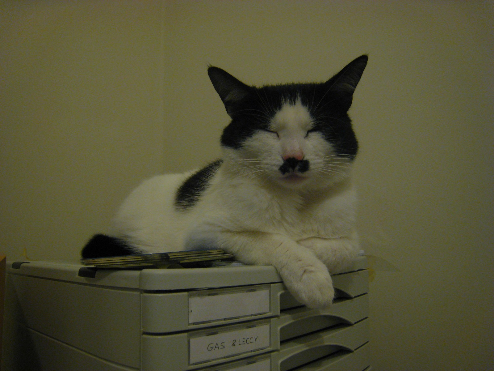 IMG_0470-gamma - CATT RRECEPTTION