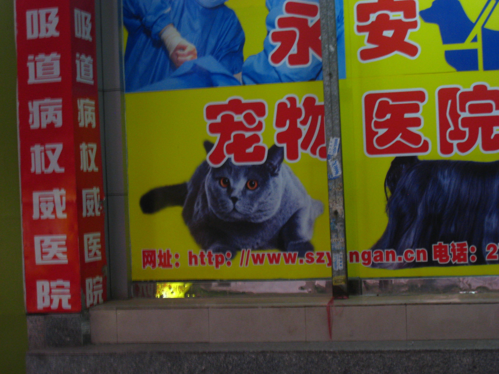 IMG_0548 - CATT store