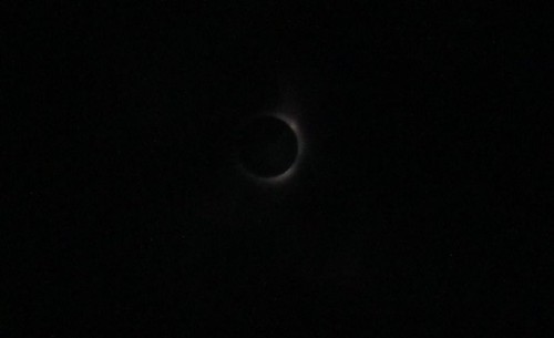IMG_1821-crop - CORRONA